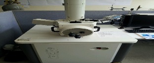 주사전자현미경