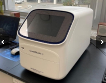 실시간 중합효소 연쇄반응 시스템