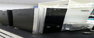 주사전자현미경